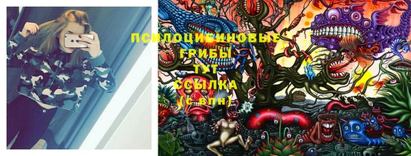 молекула духа Абинск