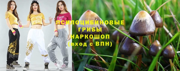 молекула духа Абинск