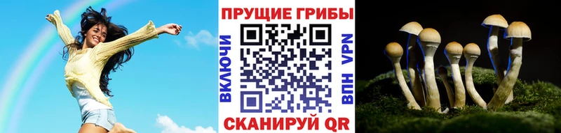 Галлюциногенные грибы Cubensis  Тетюши 